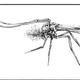 Image for article titled Cockroaches From Mars are Out to Kill You